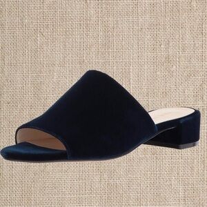 Velvet Navy Blue Mule